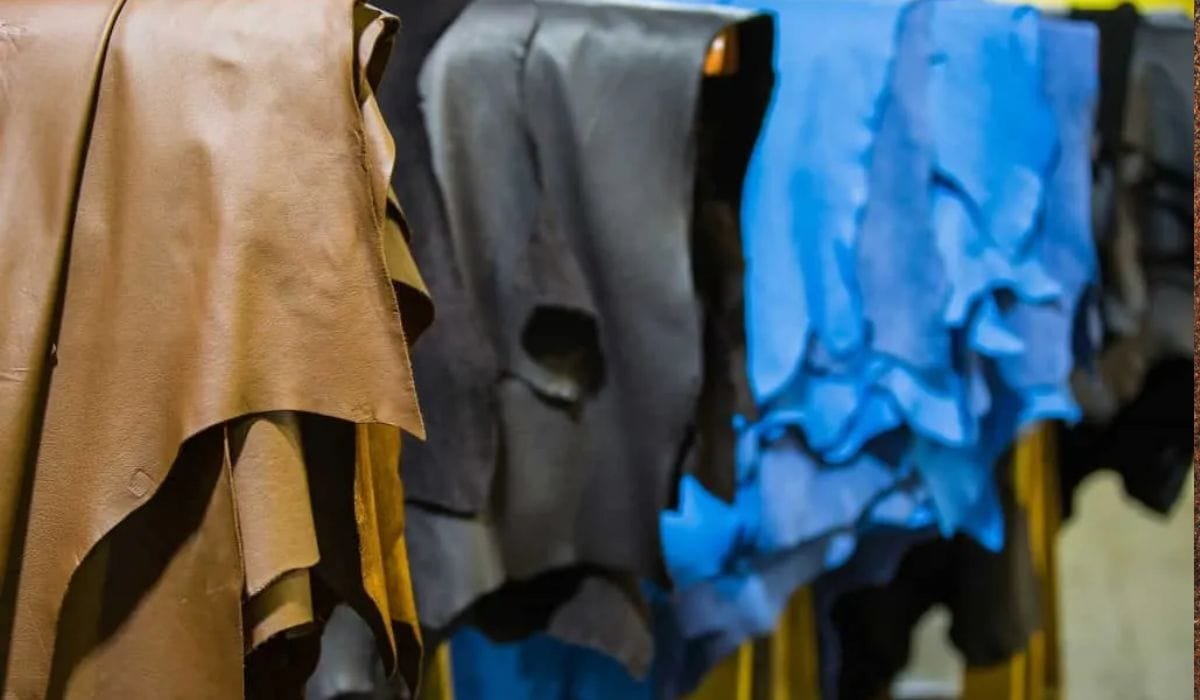 Different shades of leather hides, including brown, black, and blue, showcasing the future of the leather industry.