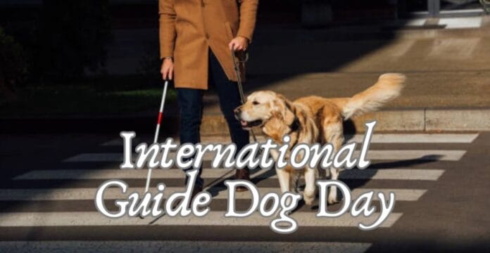 A person crossing a street with a guide dog, accompanied by the text 