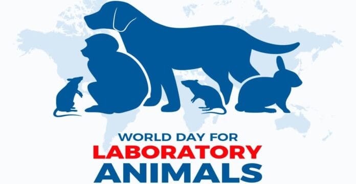 A graphic showing silhouettes of various animals, including a dog, monkey, mouse, and rabbit, with the text 