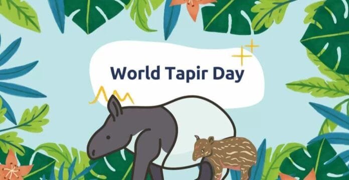 An illustrated design celebrating World Tapir Day, featuring a larger tapir and a baby tapir surrounded by tropical leaves.