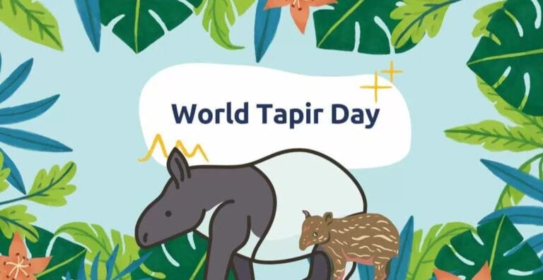 Celebrating World Tapir Day: Protecting a Precious Animal