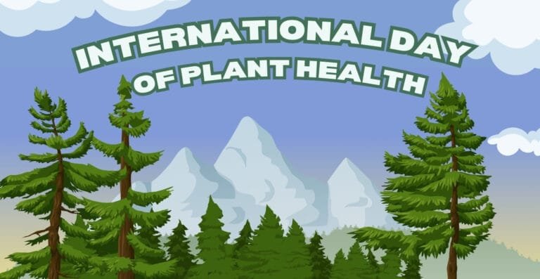 An illustrated scene of green pine trees and snowy mountain peaks under a blue sky with clouds, with the text "International Day of Plant Health" in bold green letters at the top.