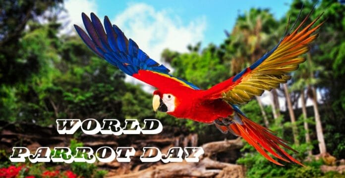 A colorful parrot perched on a branch in a tropical forest, symbolizing World Parrot Day on May 31.