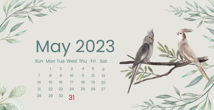 Illustrated May 2023 calendar with two cockatiels perched on a tree branch surrounded by watercolor-style greenery.
