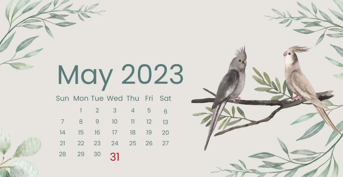 May 31: World No Tobacco Day and Other Global Observances Illustrated May 2023 calendar with two cockatiels perched on a tree branch surrounded by watercolor-style greenery.