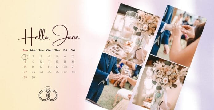 A collage showing happy families, children playing, a glass of milk, colorful coral reefs, and a cancer survivor smiling during a support event.