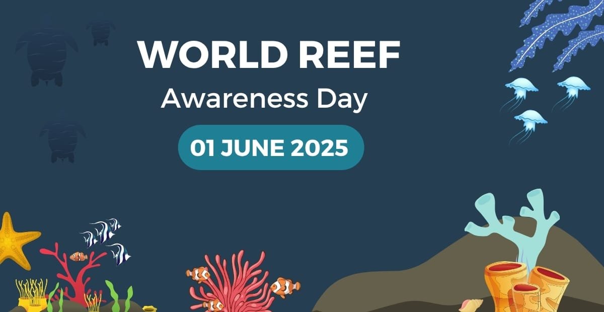 World Reef Awareness Day: Protecting Our Oceans, Reef at a Time A vibrant coral reef teeming with tropical fish, sea turtles, and colorful corals under clear blue water.
