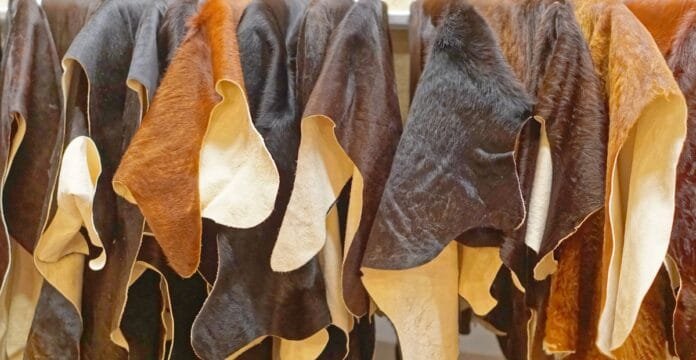 Close-up image of several pieces of cow leather hanging side by side, showcasing various shades of brown, black, and beige.