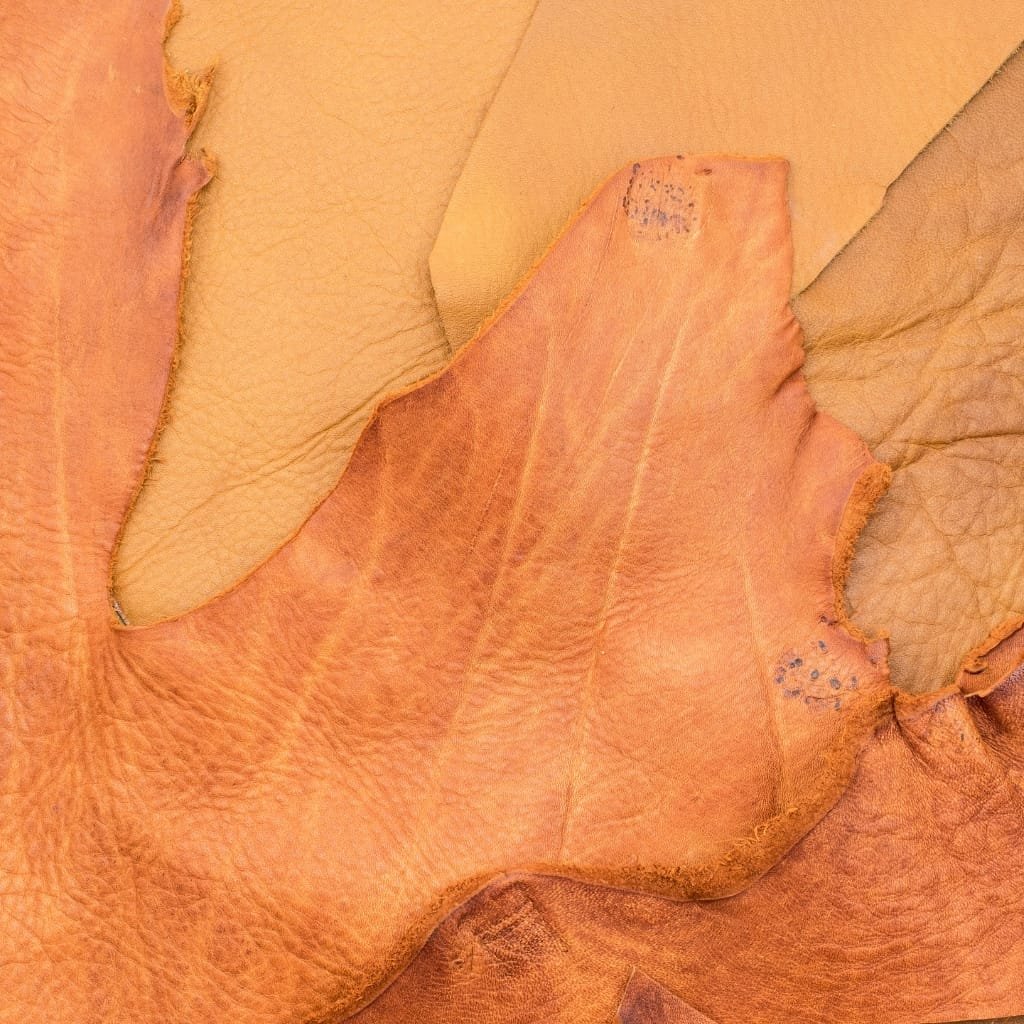 Close-up image of orange kangaroo leather showing its textured surface and natural folds.

