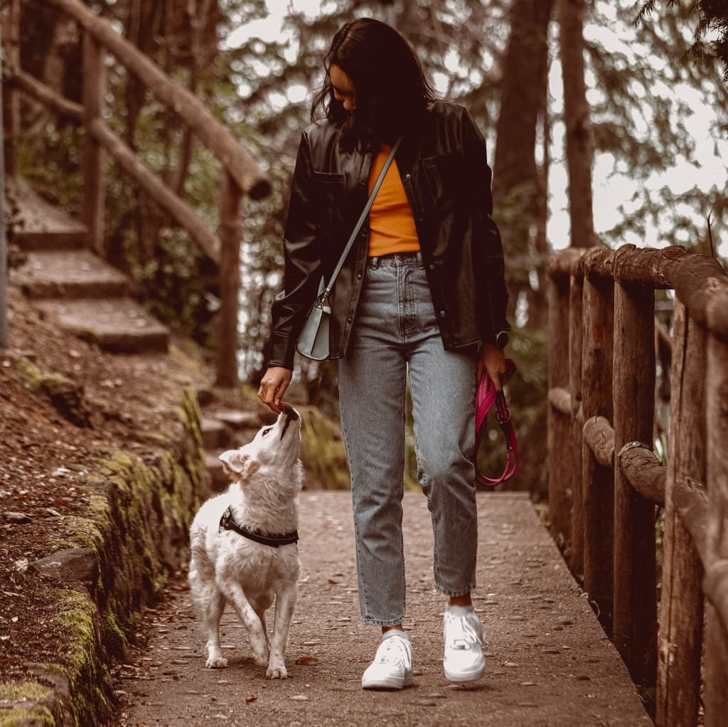 A woman walking along a wooded trail with her dog, wearing a black satin bomber jacket, casual jeans, and sneakers in a scenic outdoor setting.