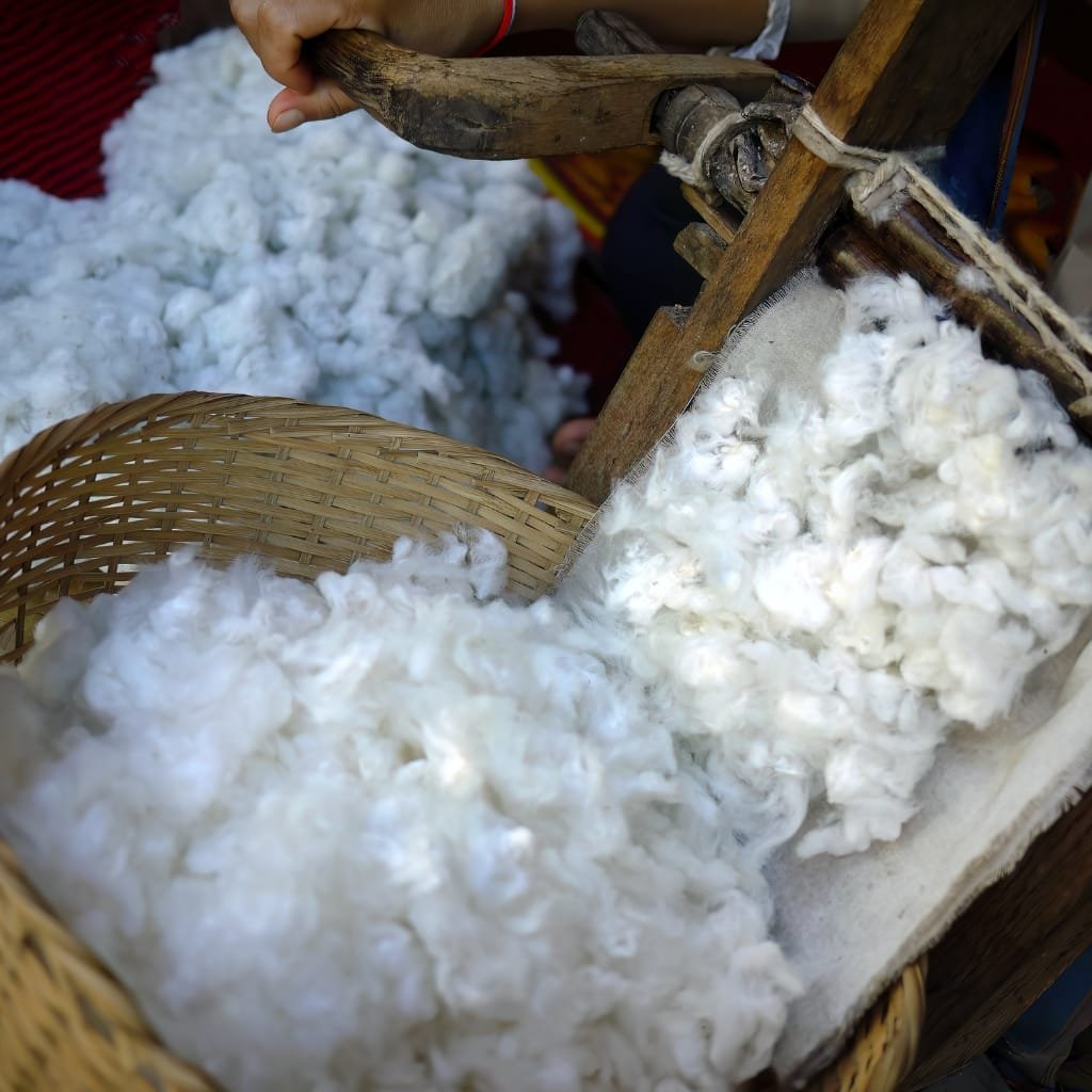 Ginning Cotton: Process, Importance, and Modern Methods 2 Close-up of white cotton fibers being processed by a traditional hand-operated gin, with a woven basket and wooden frame in view.