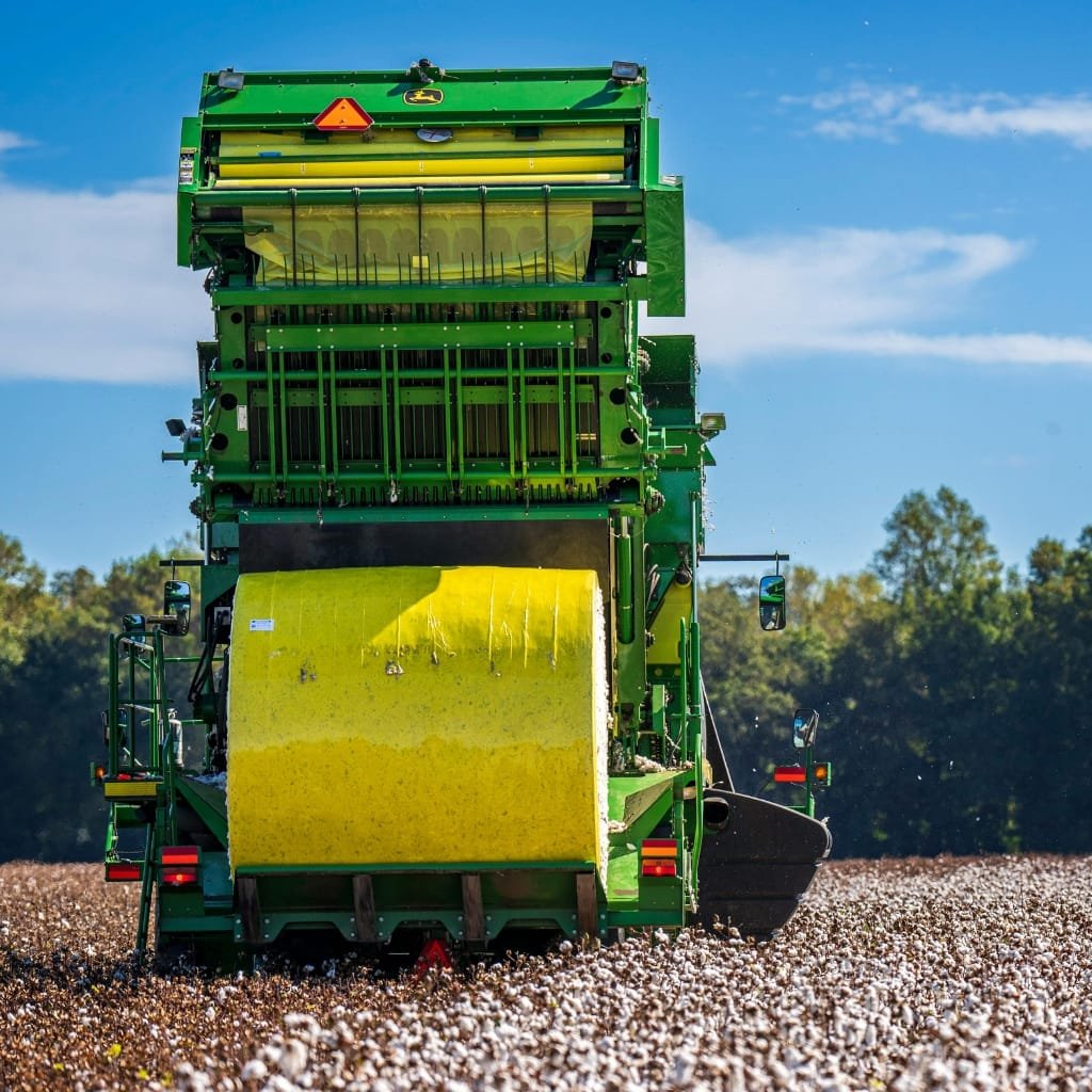 A large green modern cotton harvester operating in a field, with a bright yellow pickup drum at the front and a blue sky in the background.
