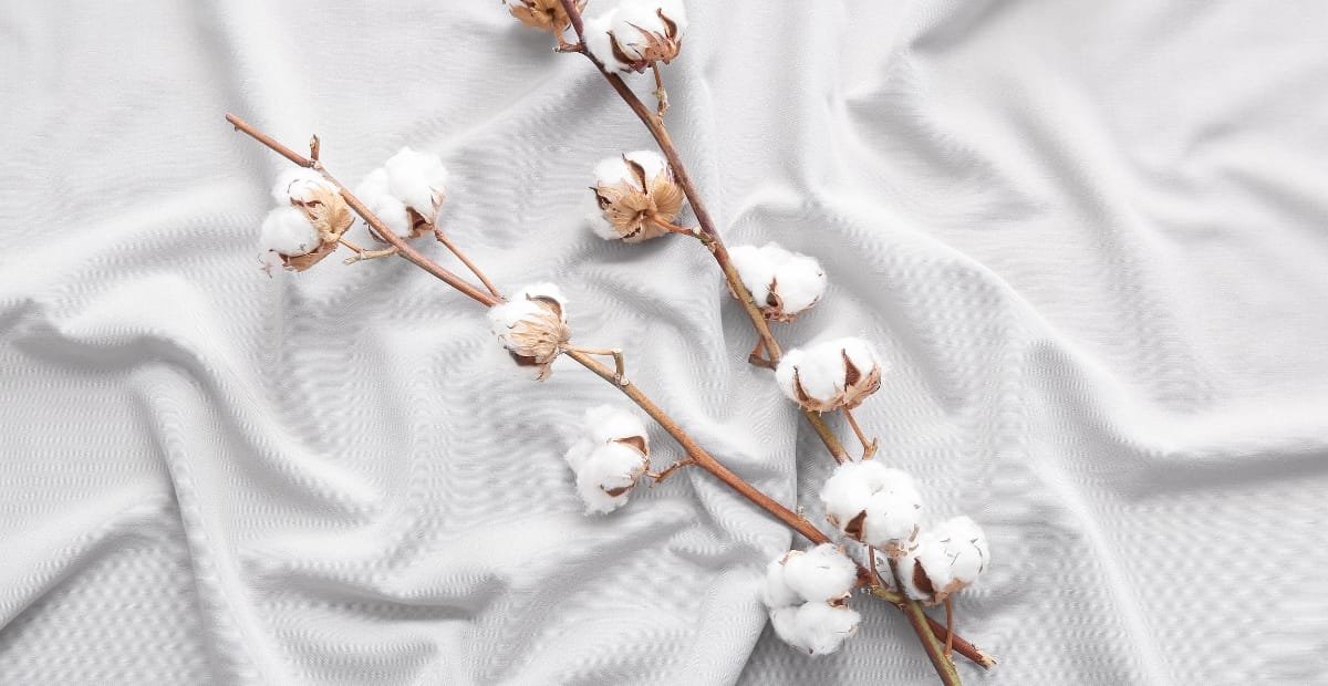 A close-up view of cotton plant branches with fluffy white cotton bolls resting on soft, light gray fabric. The fabric has a subtle texture with gentle folds and a cozy, inviting appearance.