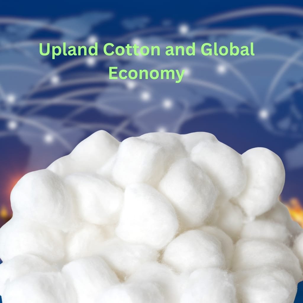 A globe-themed background with a large white cotton boll in the foreground, and the title “Upland Cotton and Global Economy” in green text.