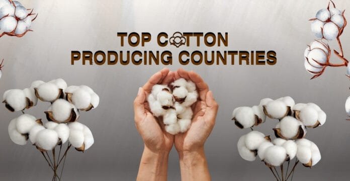 Hands cupping cotton bolls with a backdrop that reads “Top Cotton Producing Countries,” flanked by cotton plants on both sides.