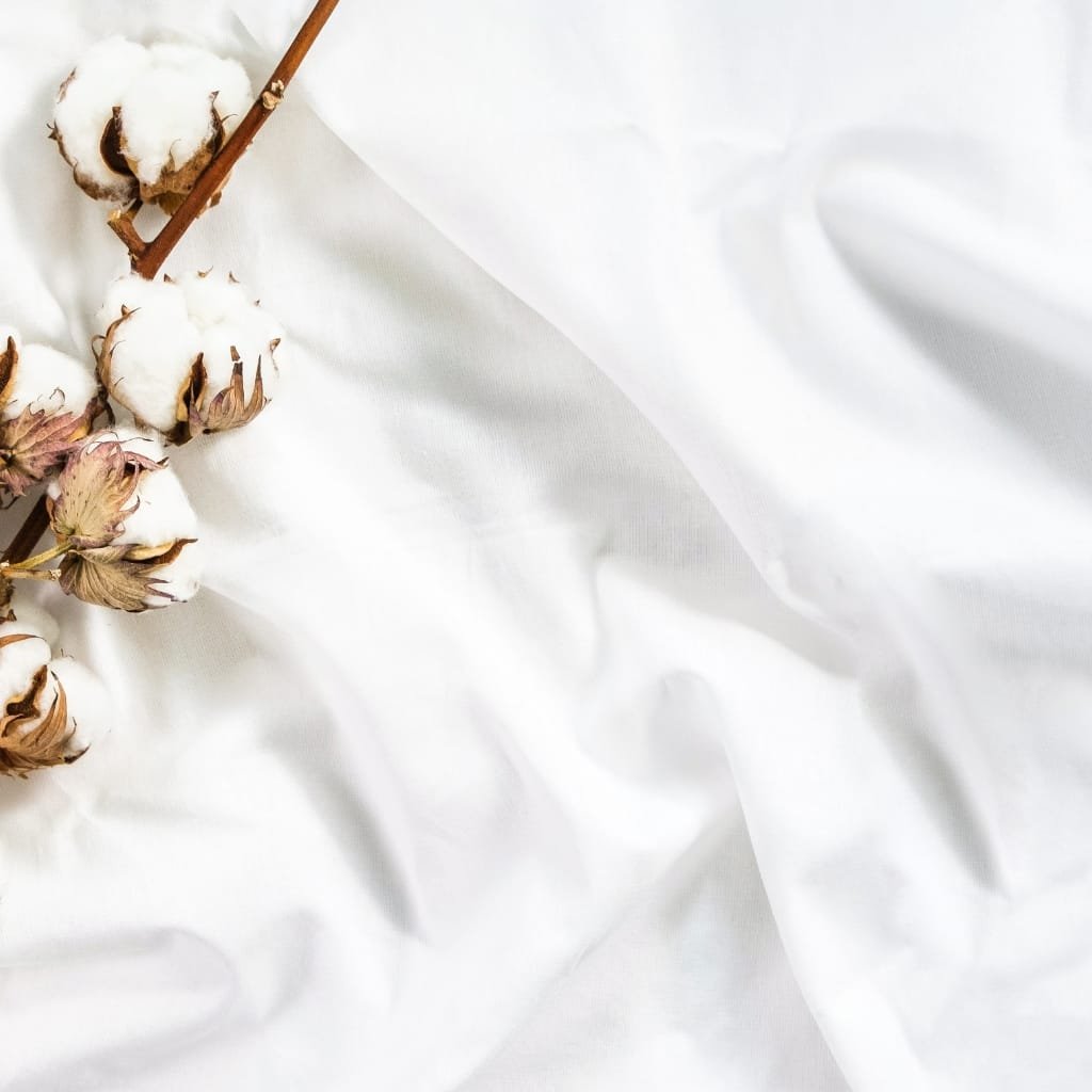Close-up of a cotton branch with fluffy white cotton bolls on a white fabric background.