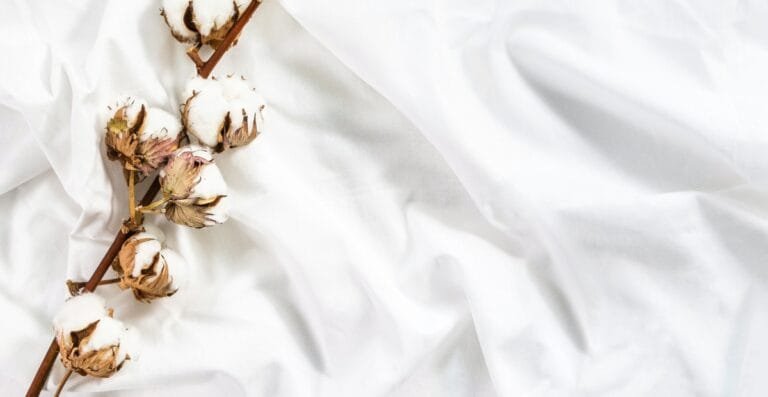 Pima Cotton: The Secret to Softer, Stronger Sheets & Tees