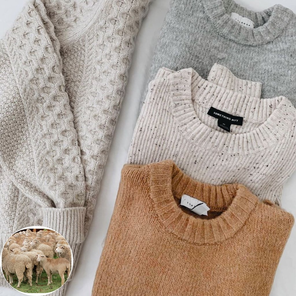 A flat lay of cozy knit sweaters in neutral colors (beige, light gray, and camel) arranged on a white surface, with a small circular inset photo of grazing sheep in the bottom-left corner.
