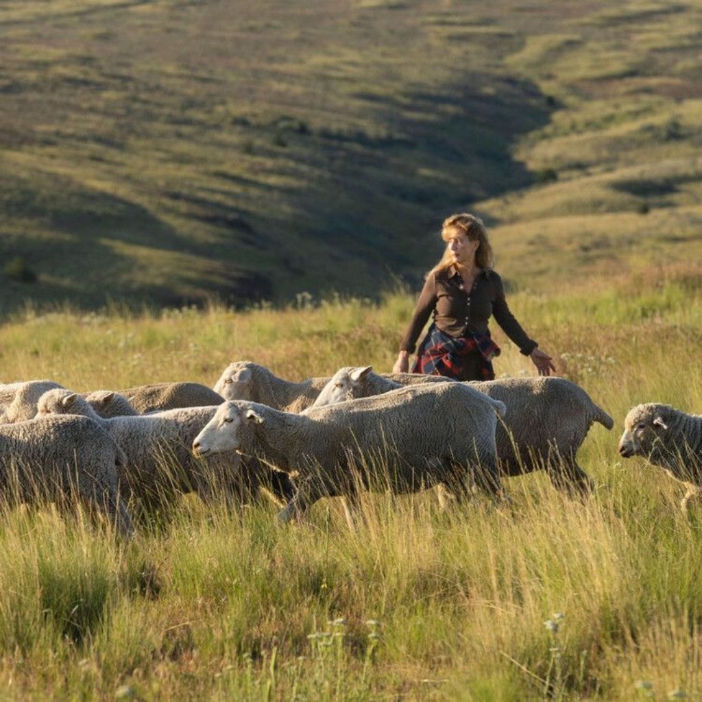 Felted Merino Fabric: Premium Softness for Cozy Elegance 7 A woman wearing a dark shirt and plaid shirt tied around her waist stands in a grassy field among a flock of sheep.