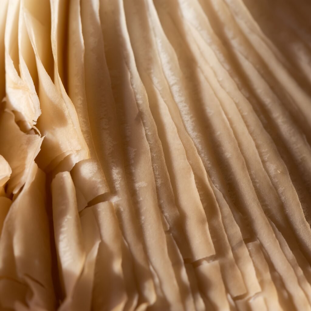  Close-up view of sheer, delicate silk organza fabric, showing thin, slightly translucent strips with soft folds and a warm, golden-beige hue.