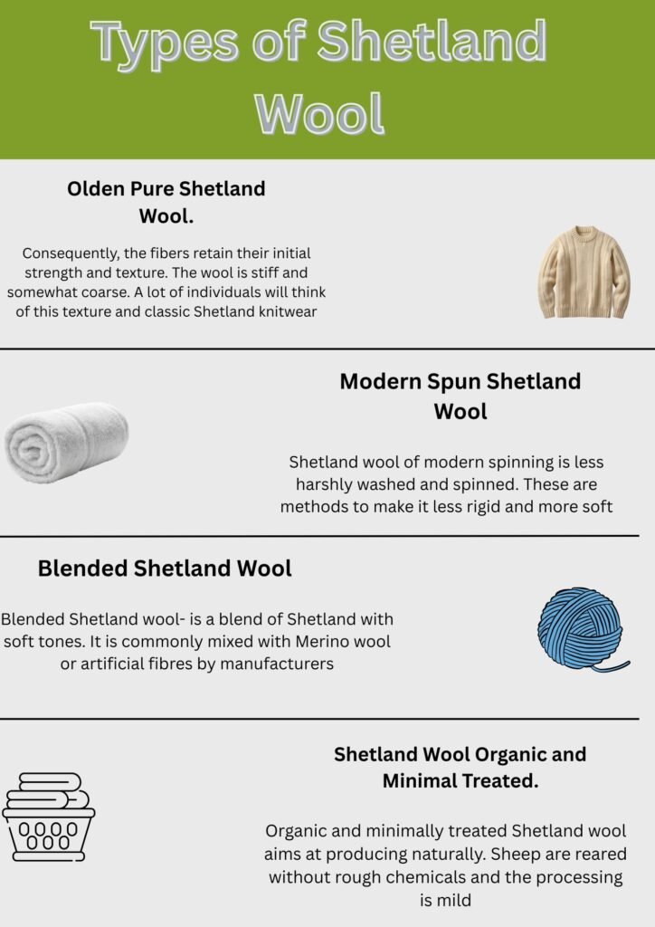 Infographic showing the types of Shetland wool, including Olden Pure Shetland wool, Modern Spun Shetland wool, Blended Shetland wool, and organic minimally treated Shetland wool, with brief explanations of each.Does Shetland Wool Itch?