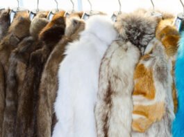 A row of fur coats hanging on racks, showcasing a variety of colors from brown and white to bright blue. The coats appear plush and luxurious with different fur textures. Fox Fur Winter Coat