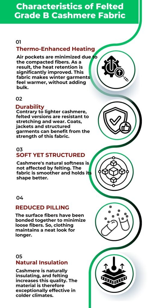 Infographic titled 'Characteristics of Felted Grade B Cashmere Fabric' showing five features: Thermo-Enhanced Heating, Durability, Soft Yet Structured, Reduced Pilling, and Natural Insulation, each with an icon.