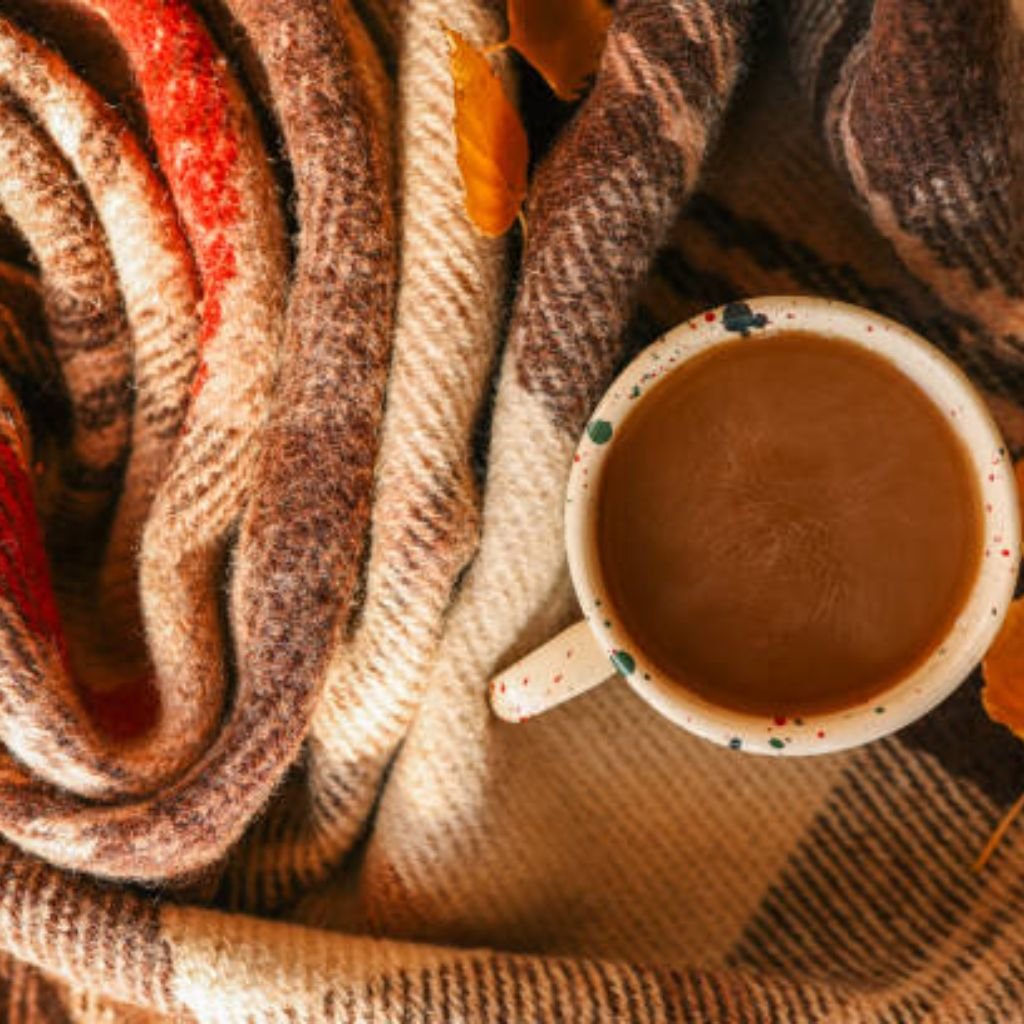 Alt text: An overhead view of a white enamel mug filled with brown liquid, resting on a folded woolen blanket with brown, cream, and orange stripes and checks. A few autumn leaves are scattered around, creating a cozy, autumnal scene.
Ever Warm Cozy Fabric Guide:
