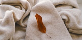 Ethical Luxury: Premium Recycled Grade A Cashmere Fabric Recycled Grade A Cashmere Fabric Close-up of a beige knitted fabric with soft folds and texture, featuring a single brown dried leaf placed on top.