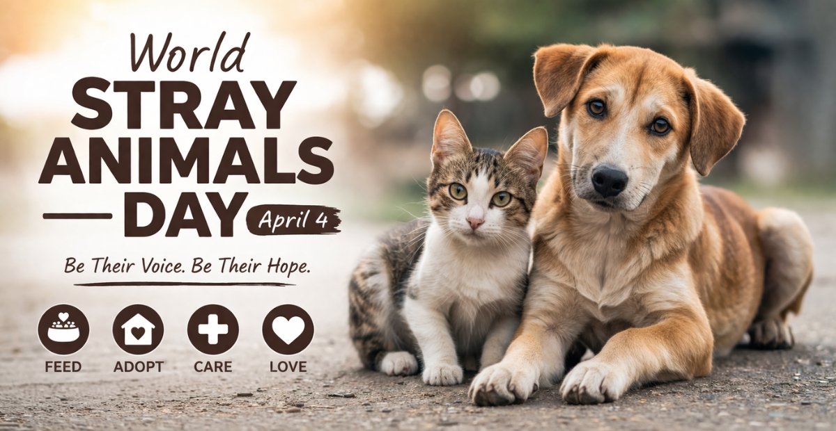World Stray Animals Day: Awareness, Importance & How to Help World Stray Animals Day poster showing a stray dog and cat with message “Be Their Voice, Be Their Hope” and icons for feeding, adopting, caring, and loving animals. World Stray Animals Day