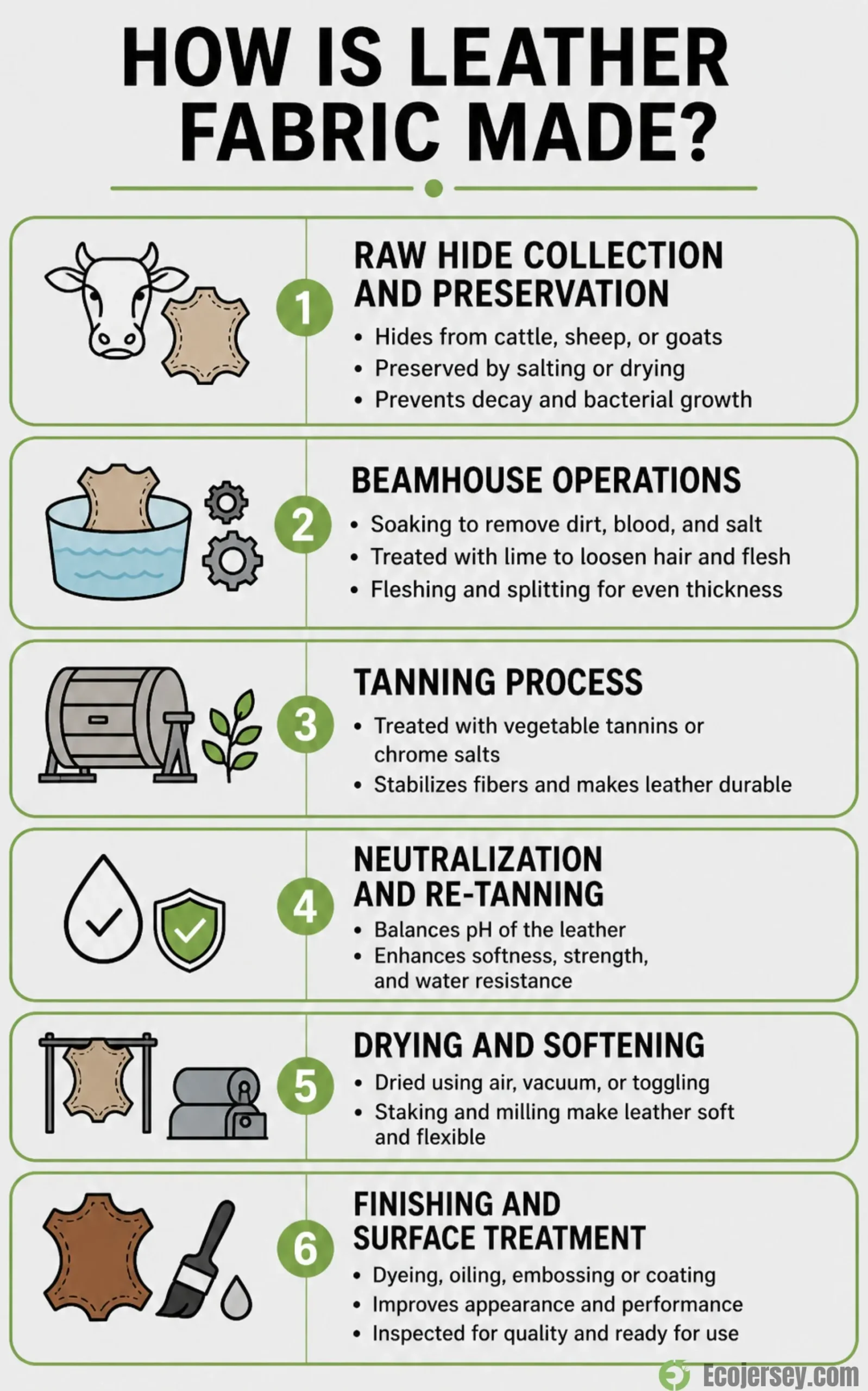 Leather manufacturing process infographic showing key steps from raw hide to finished leather