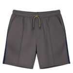 Front view of grayish-purple athletic shorts with a dark blue side stripe, tan drawstring at the waist, subtle vertical seams, and side pockets. The shorts are knee-length and laid flat against a white background.