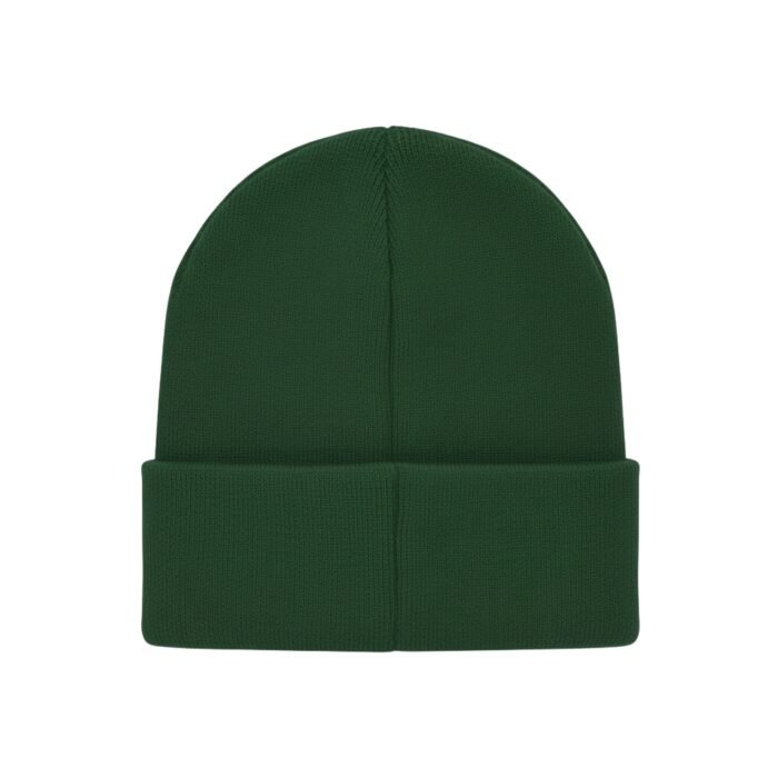 Green knit beanie with folded cuff