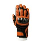 Pair of men’s motorbike gloves back view on a plain background.