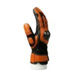 Pair of men’s motorbike gloves backside view on a plain background.