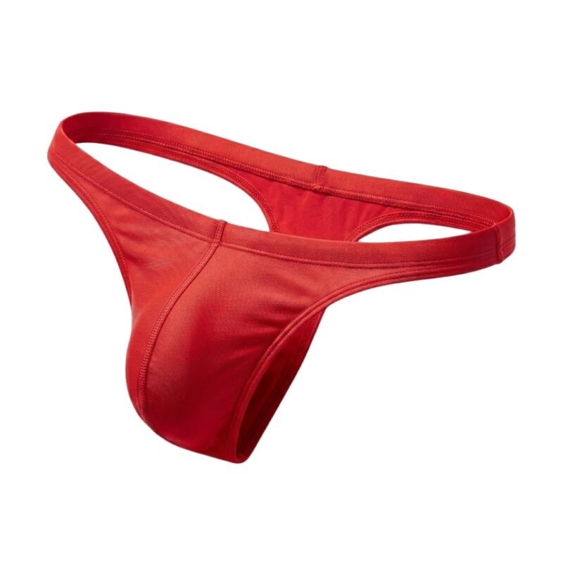 Front view of men’s thong swimwear on model