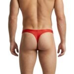 Male model wearing men’s thong swimwear, back view