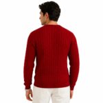 Male model wearing a custom knitted sweater back view for men's knitwear product page